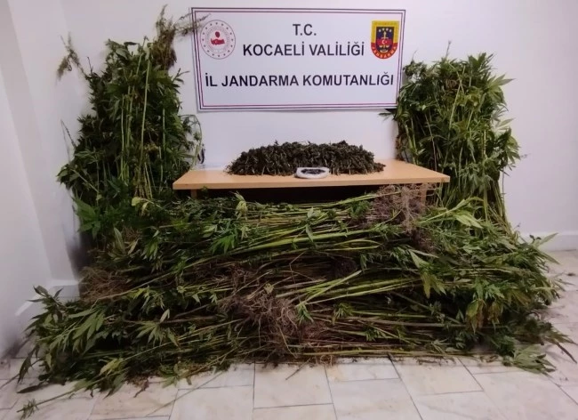 Kocaeli